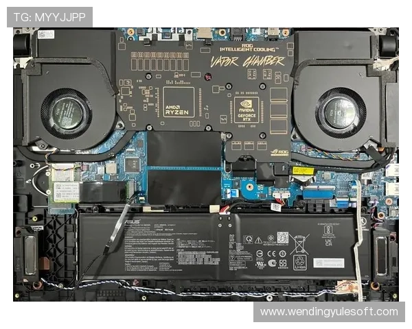 完整问鼎电脑版下载安装流程及常见问题解决方案详解