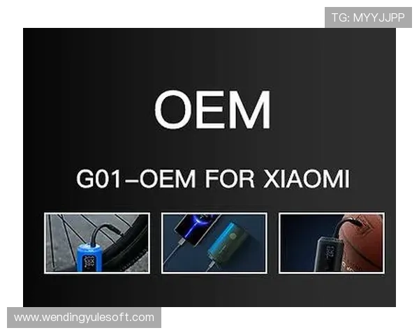 提升问鼎国际站游戏安全性的方法保障玩家数据安全与游戏公平性