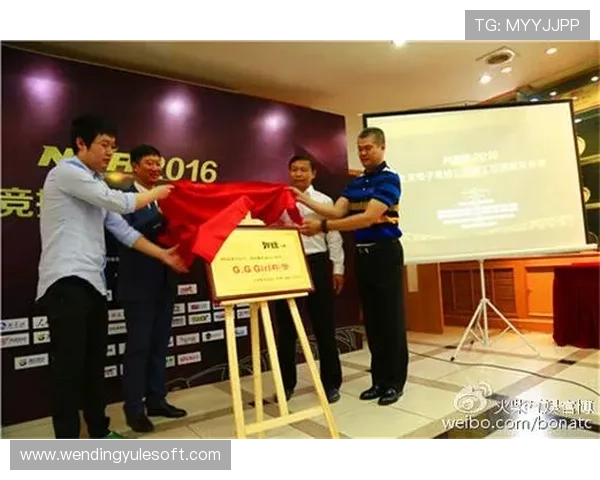 问鼎国际下载安装步骤详解帮助新手玩家顺利进入国际电竞舞台