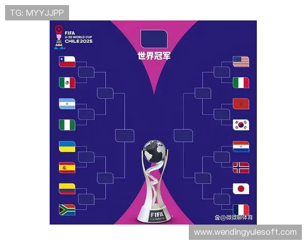 2026年世界杯参赛球队的年龄结构与经验值对比赛竞争力的影响研究 2026年世界杯参赛球队的年龄结构与经验值对比赛竞争力的影响研究